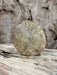 DGB Woodworks | Holly Blank | Holly | Hamilton Lee Supply