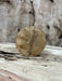 DGB Woodworks | Holly Blank | Holly | Hamilton Lee Supply