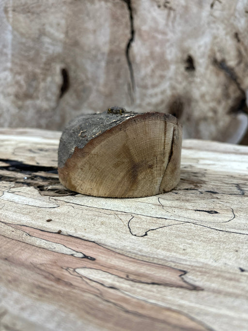 DGB Woodworks | Holly Blank | Holly | Hamilton Lee Supply