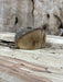 DGB Woodworks | Holly Blank | Holly | Hamilton Lee Supply