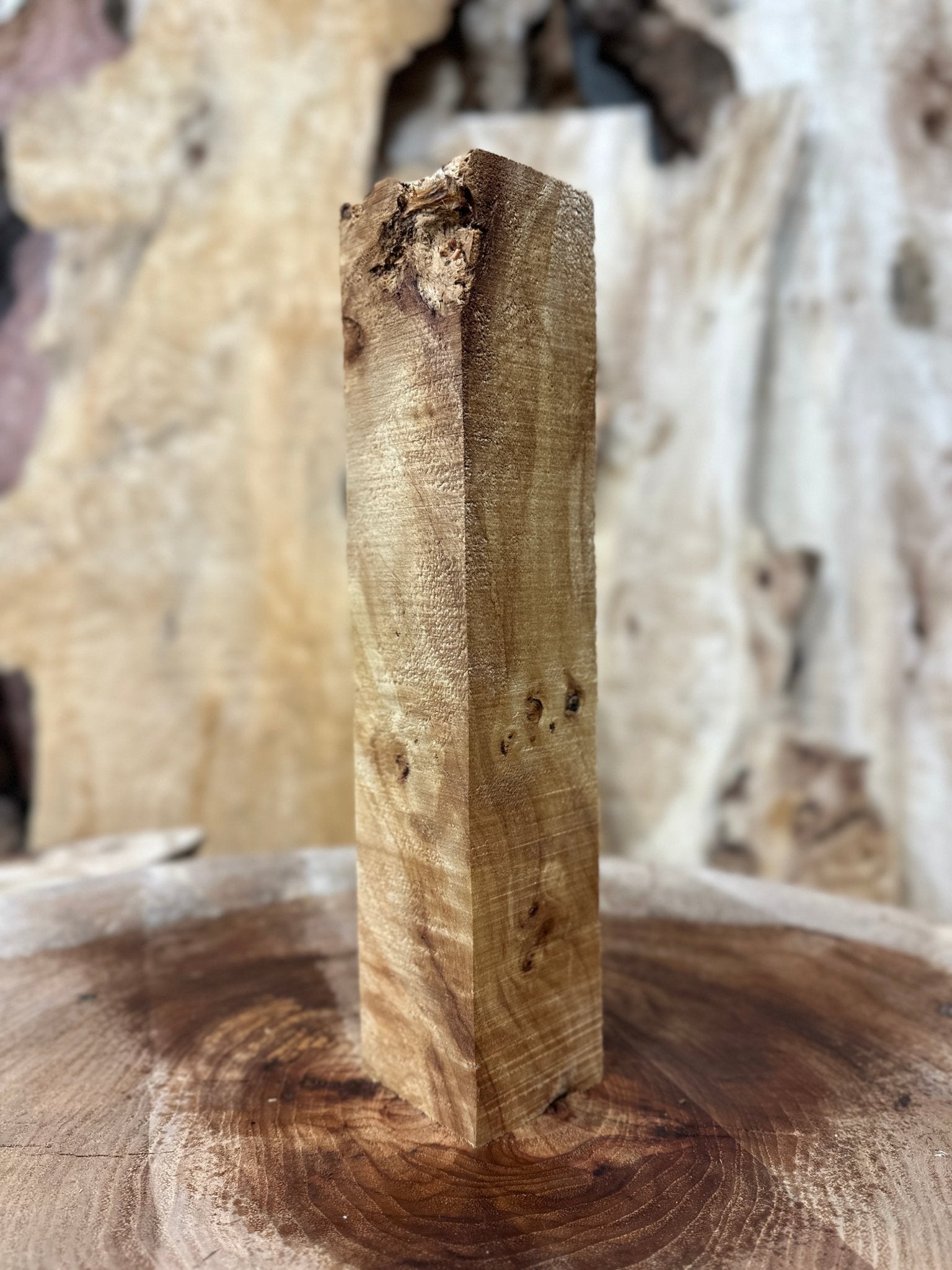 Mappa Burl Blank | Mappa Burl | Hamilton Lee Supply