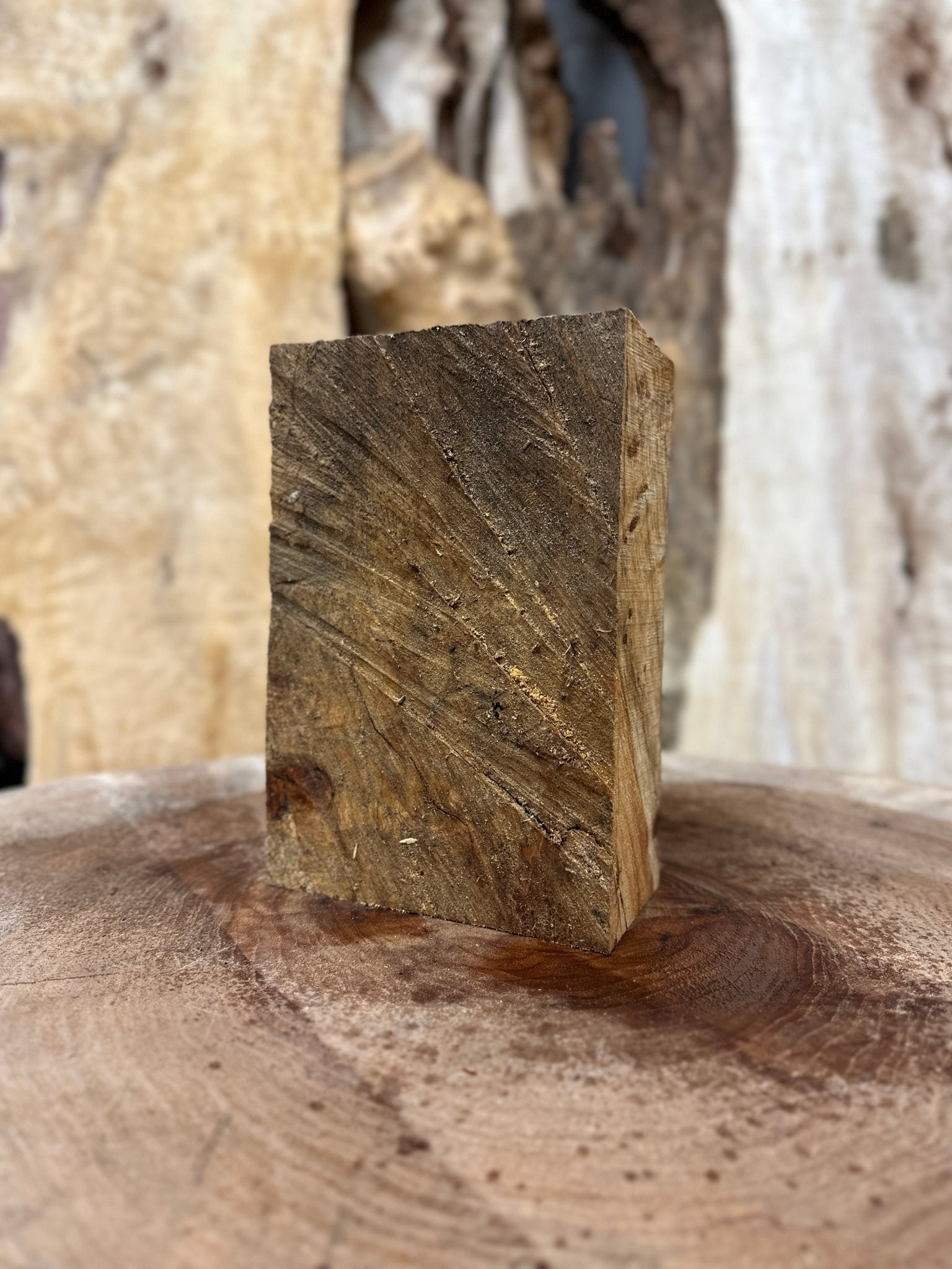 Beech Blank | Beech | Hamilton Lee Supply