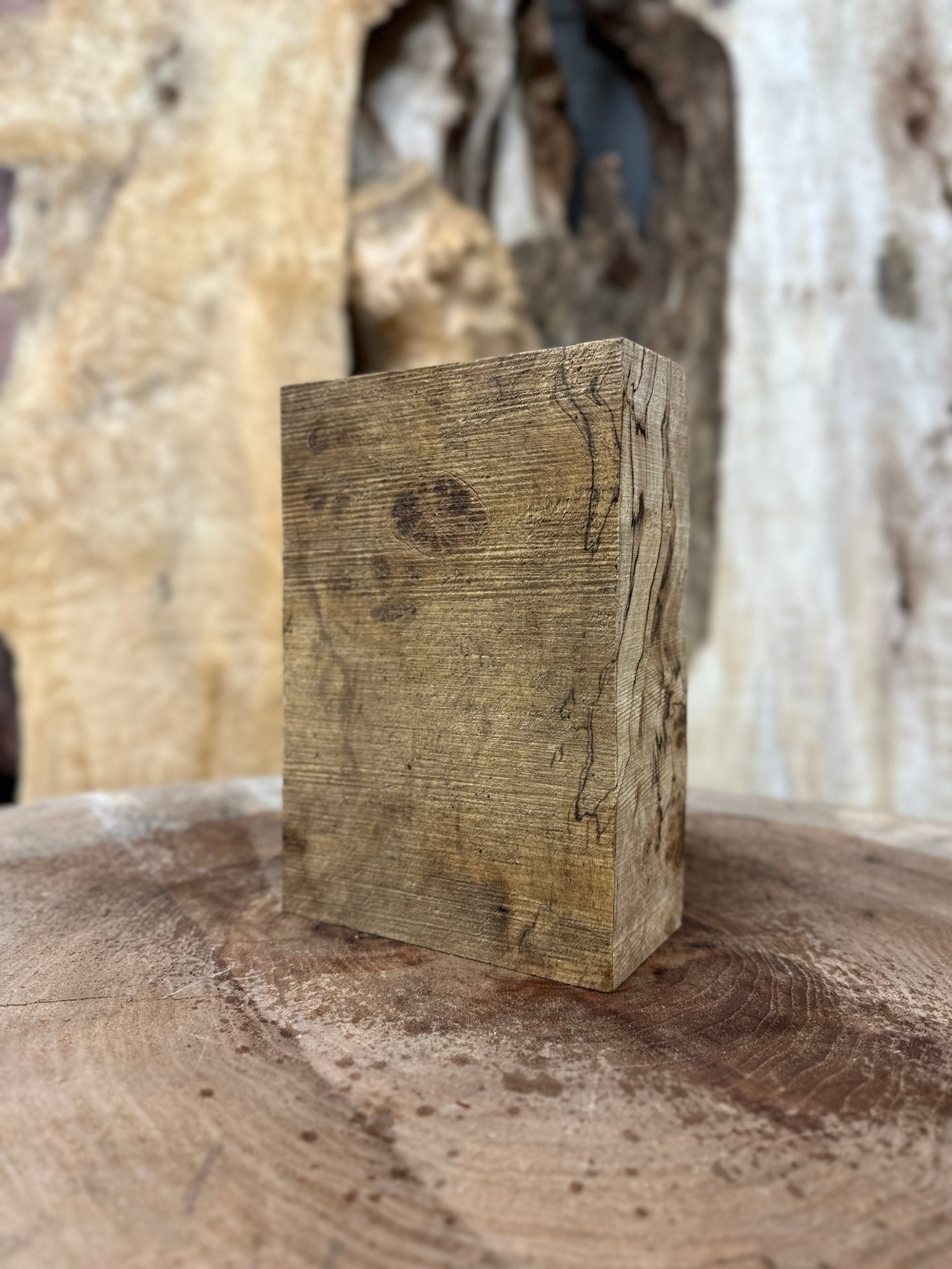 Beech Blank | Beech | Hamilton Lee Supply