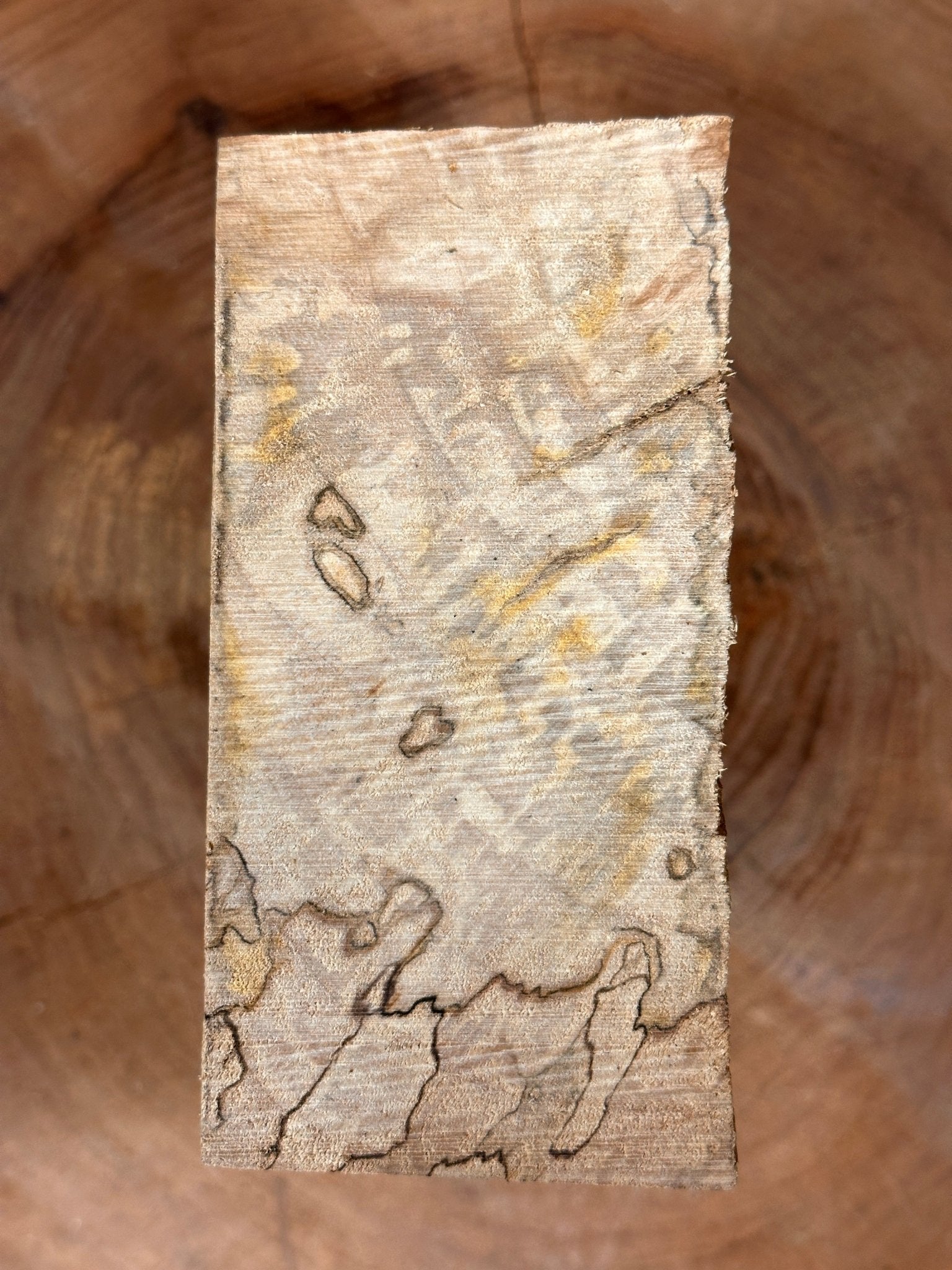 Beech Blank | Beech | Hamilton Lee Supply