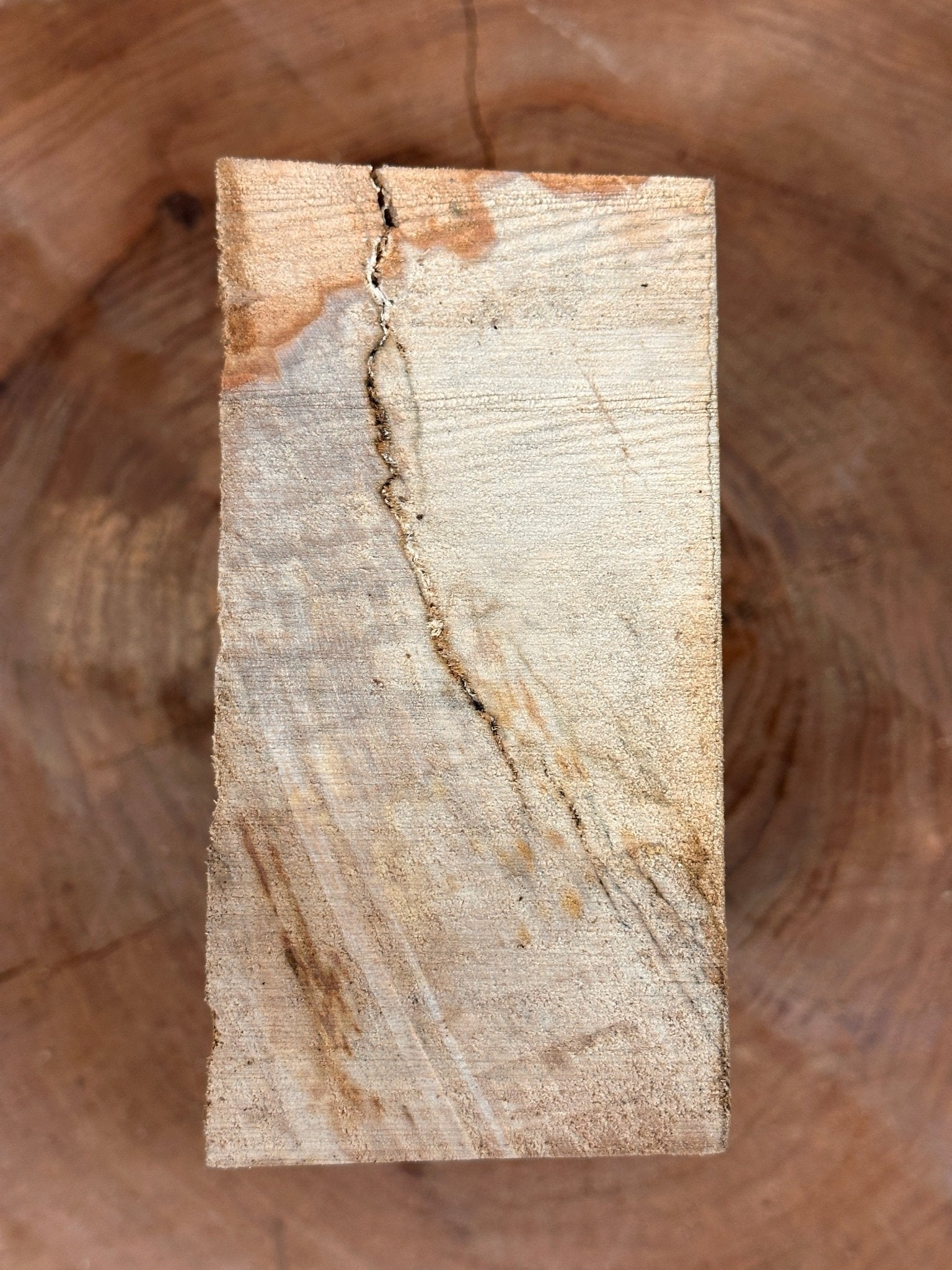 Beech Blank | Beech | Hamilton Lee Supply