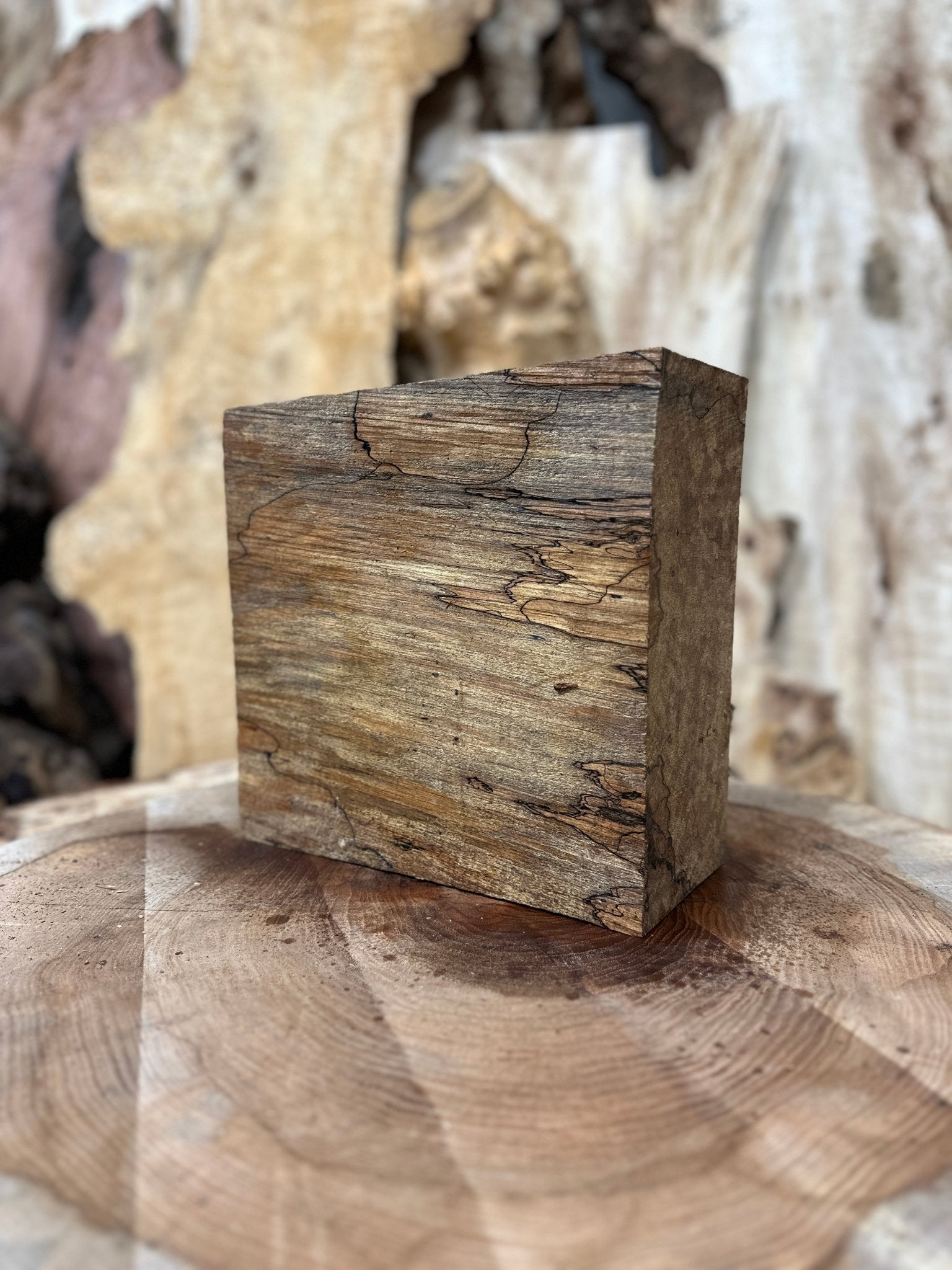 Big Leaf Maple Blank | Big Leaf Maple | Hamilton Lee Supply