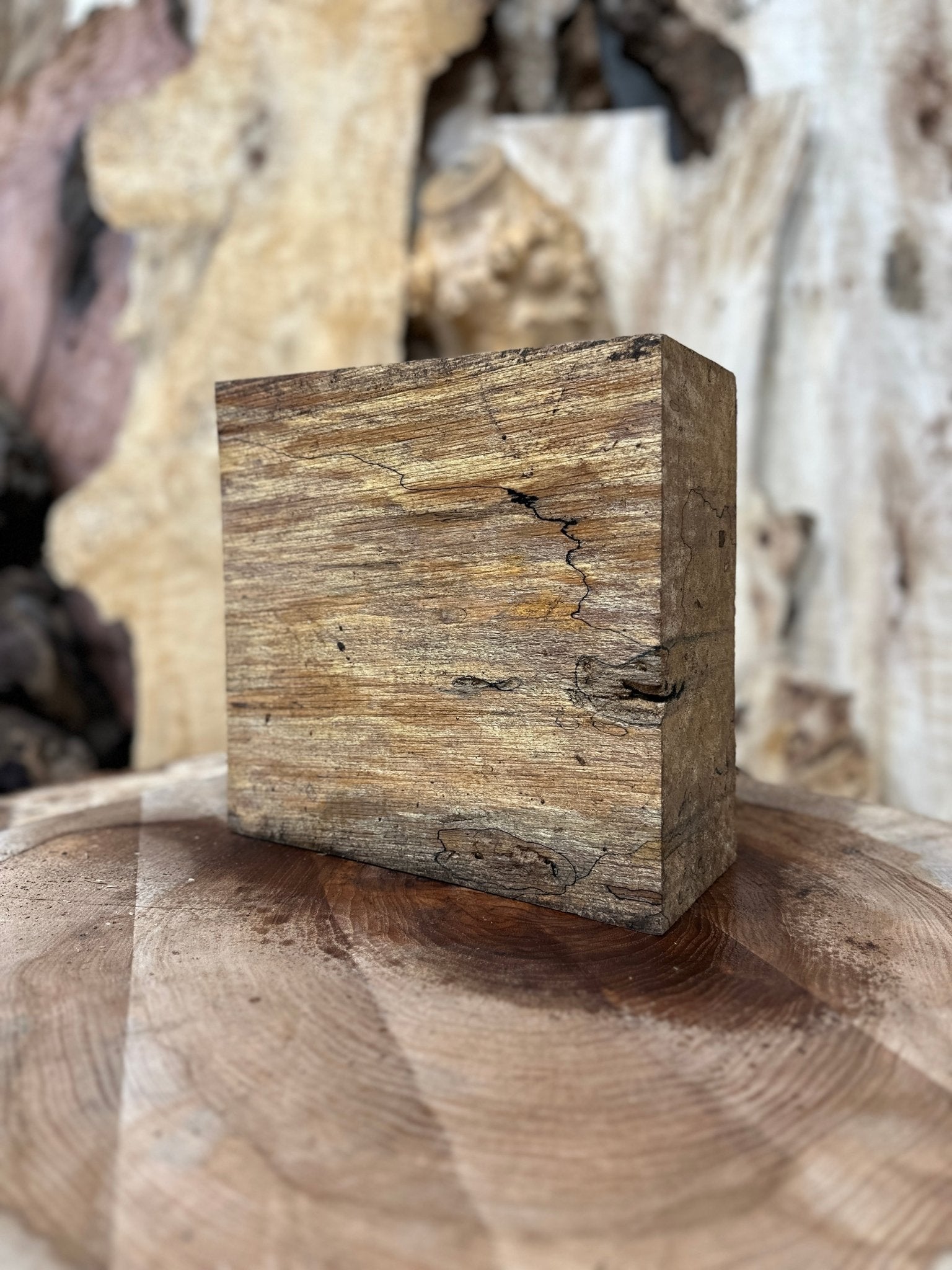 Big Leaf Maple Blank | Big Leaf Maple | Hamilton Lee Supply