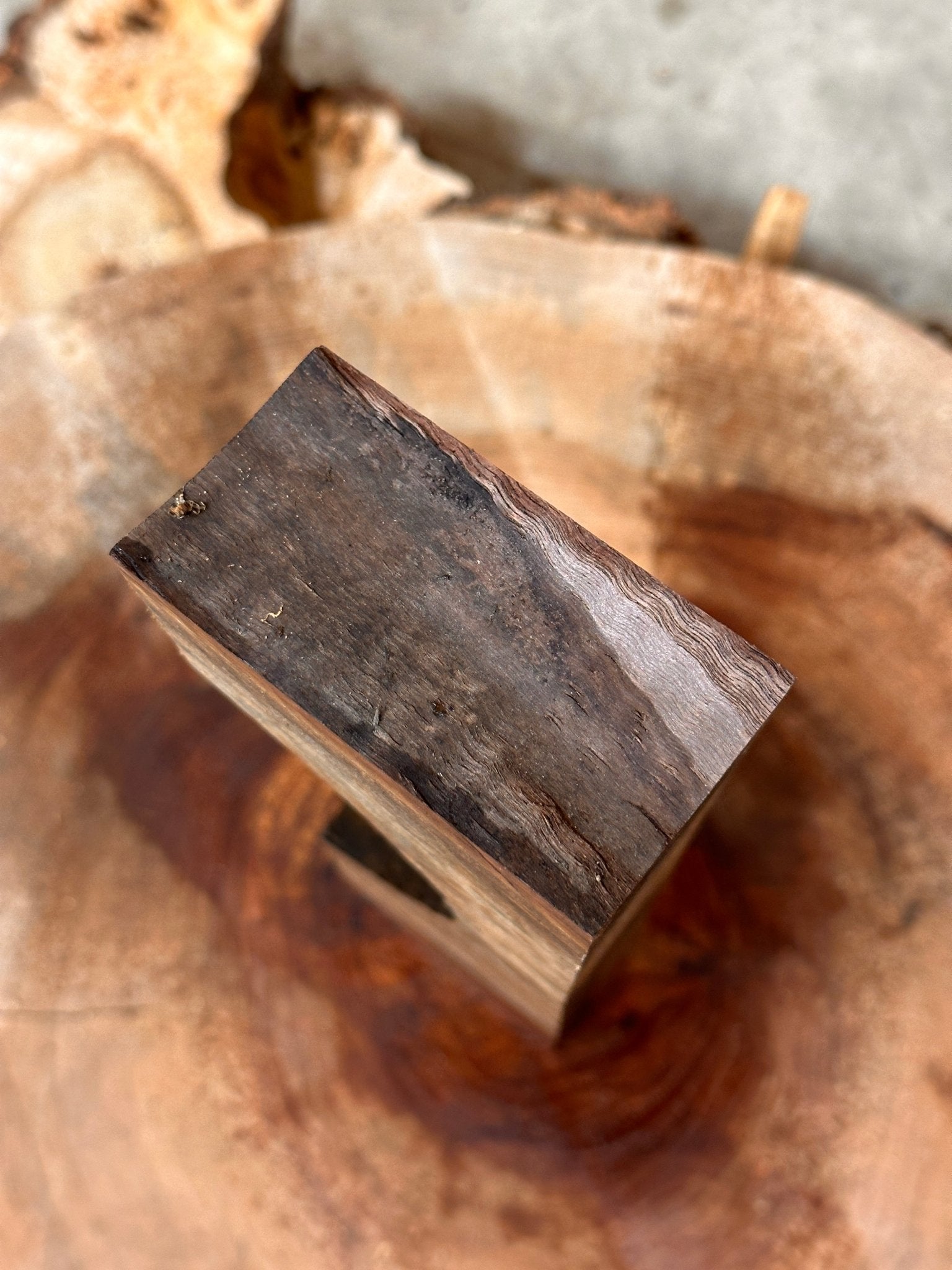 Black Walnut Blank | Black Walnut | Hamilton Lee Supply