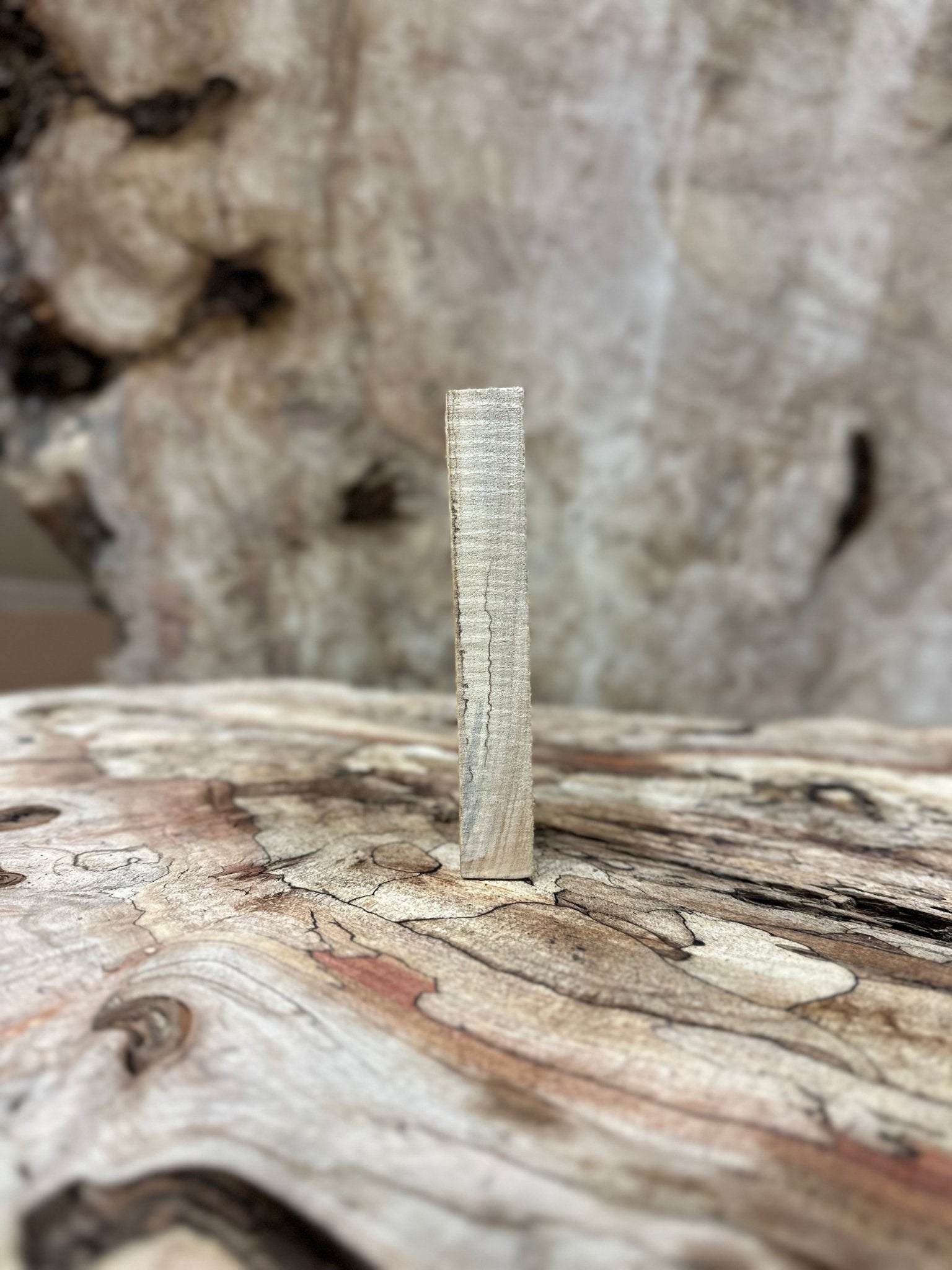 Box Elder Blank | Box Elder | Hamilton Lee Supply