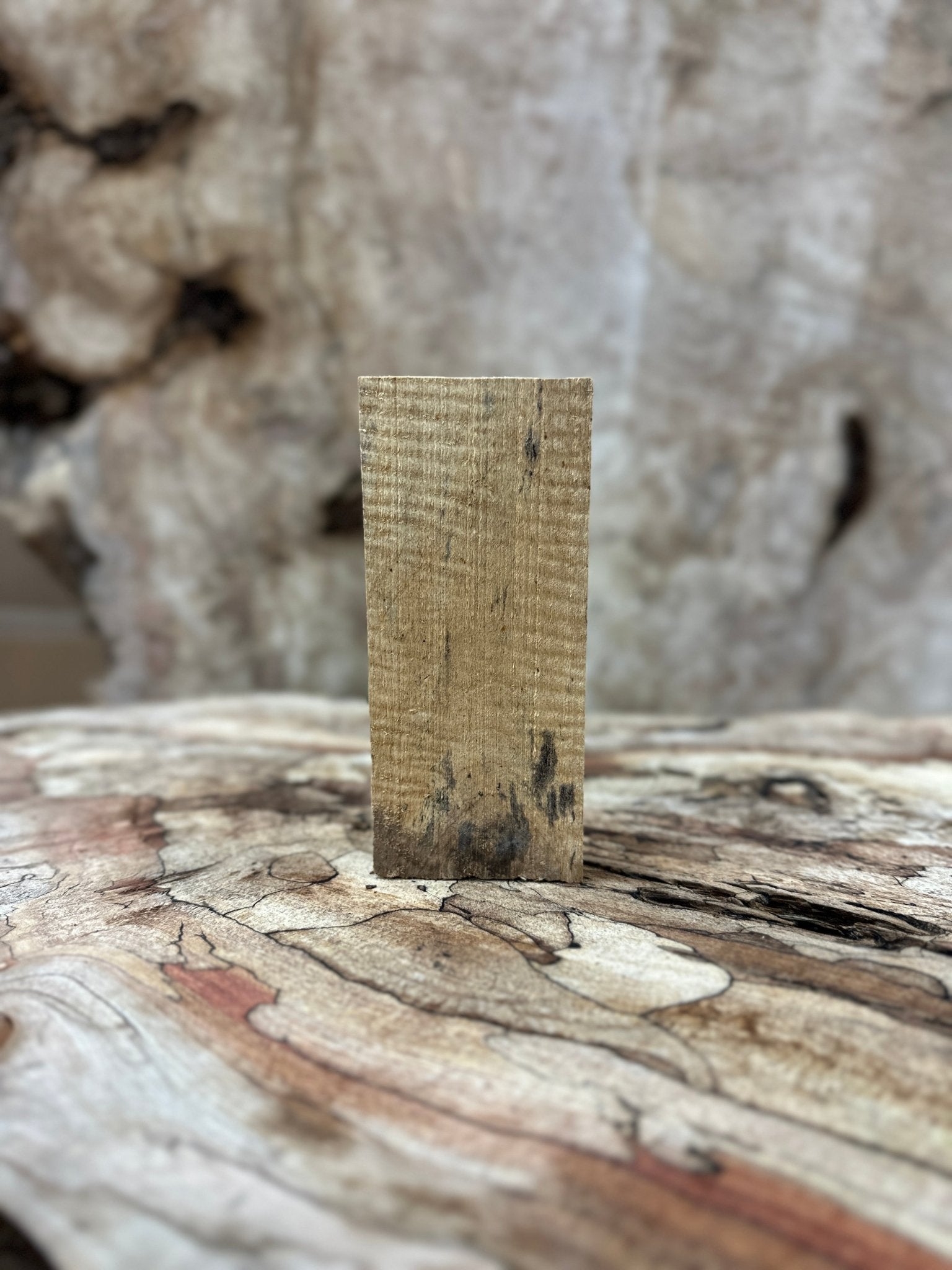 Box Elder Blank | Box Elder | Hamilton Lee Supply