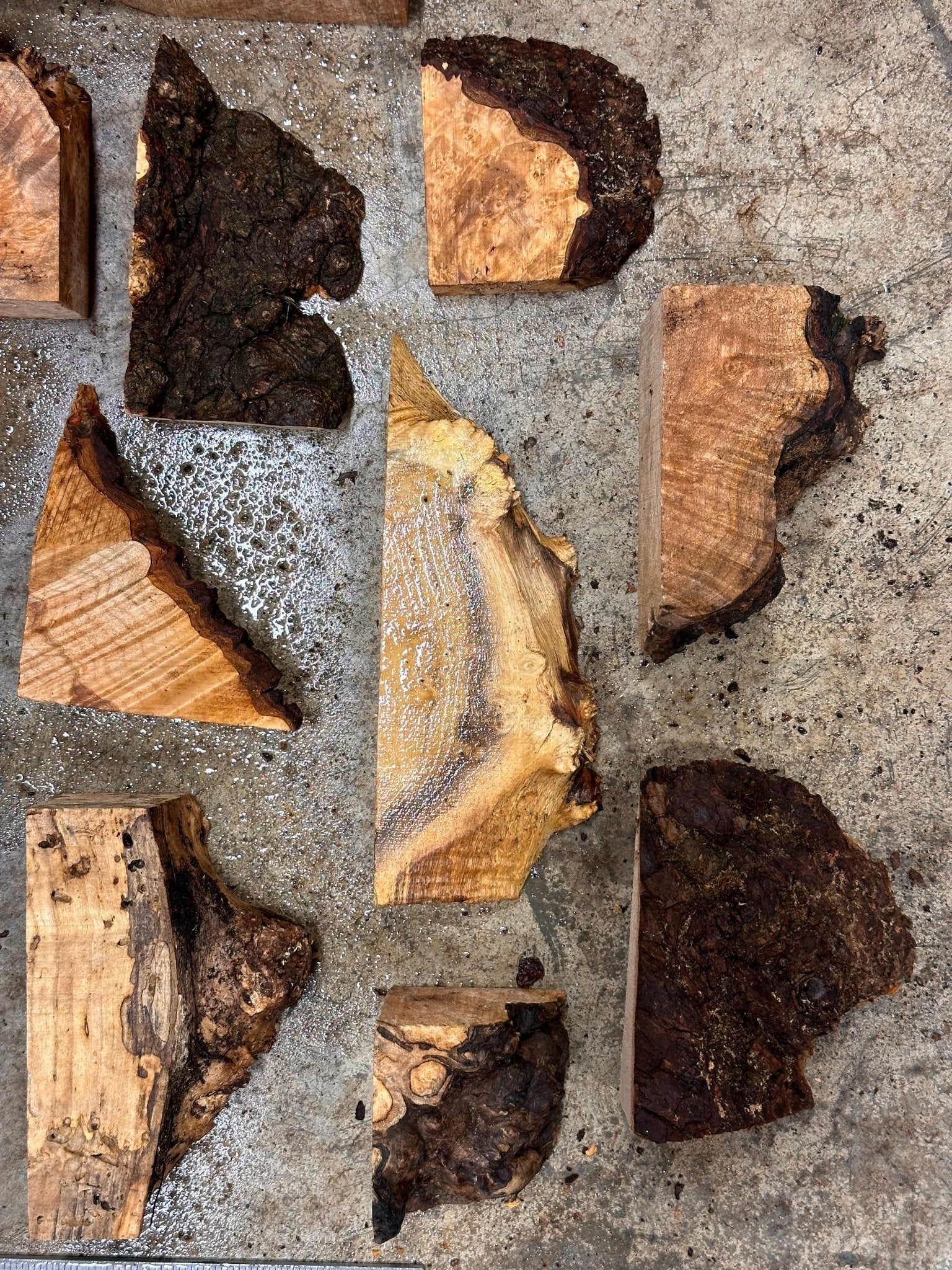 Box of Assorted Blanks | Turning Blank | Hamilton Lee Supply