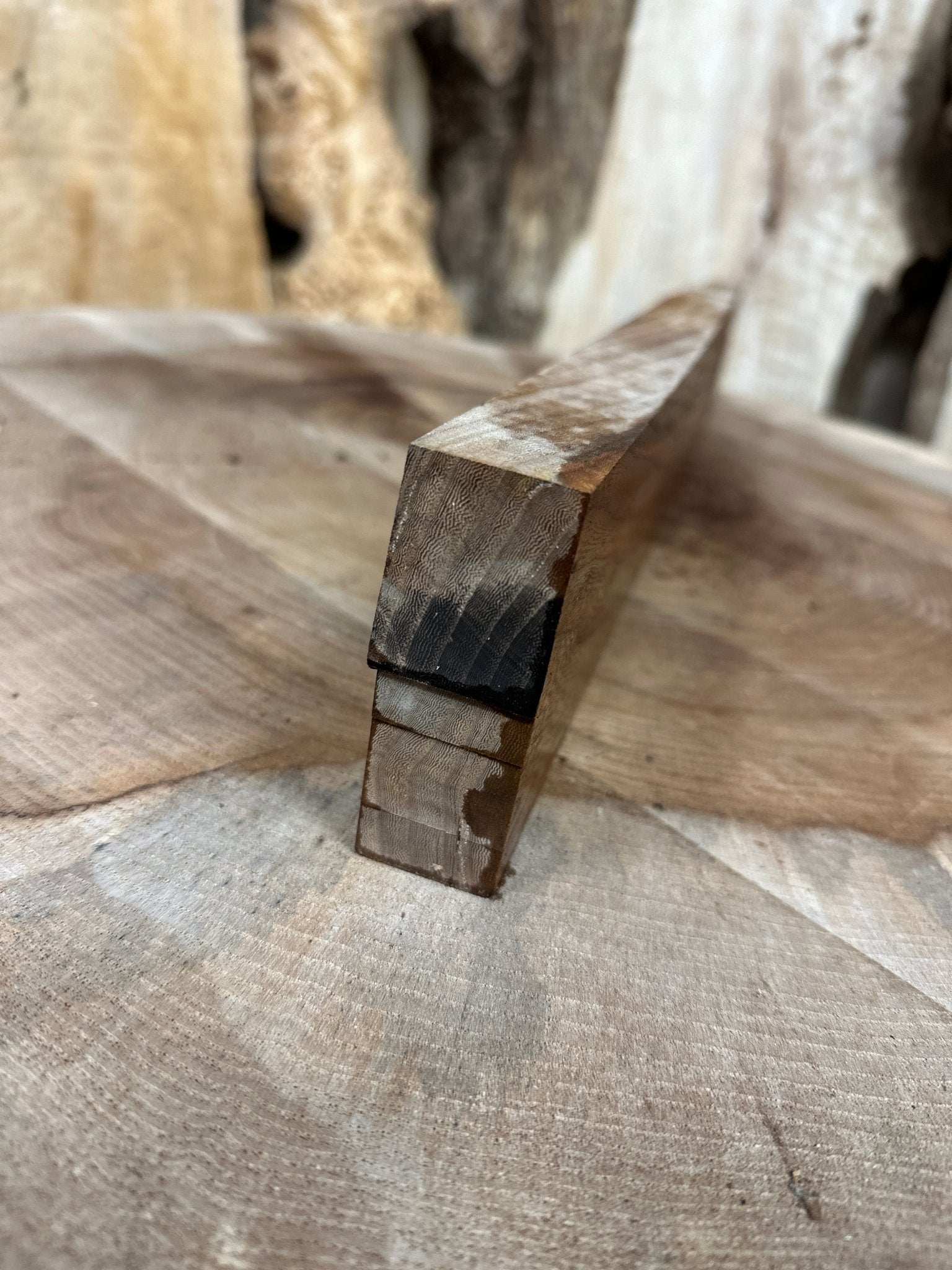 Elm Blank | Elm | Hamilton Lee Supply