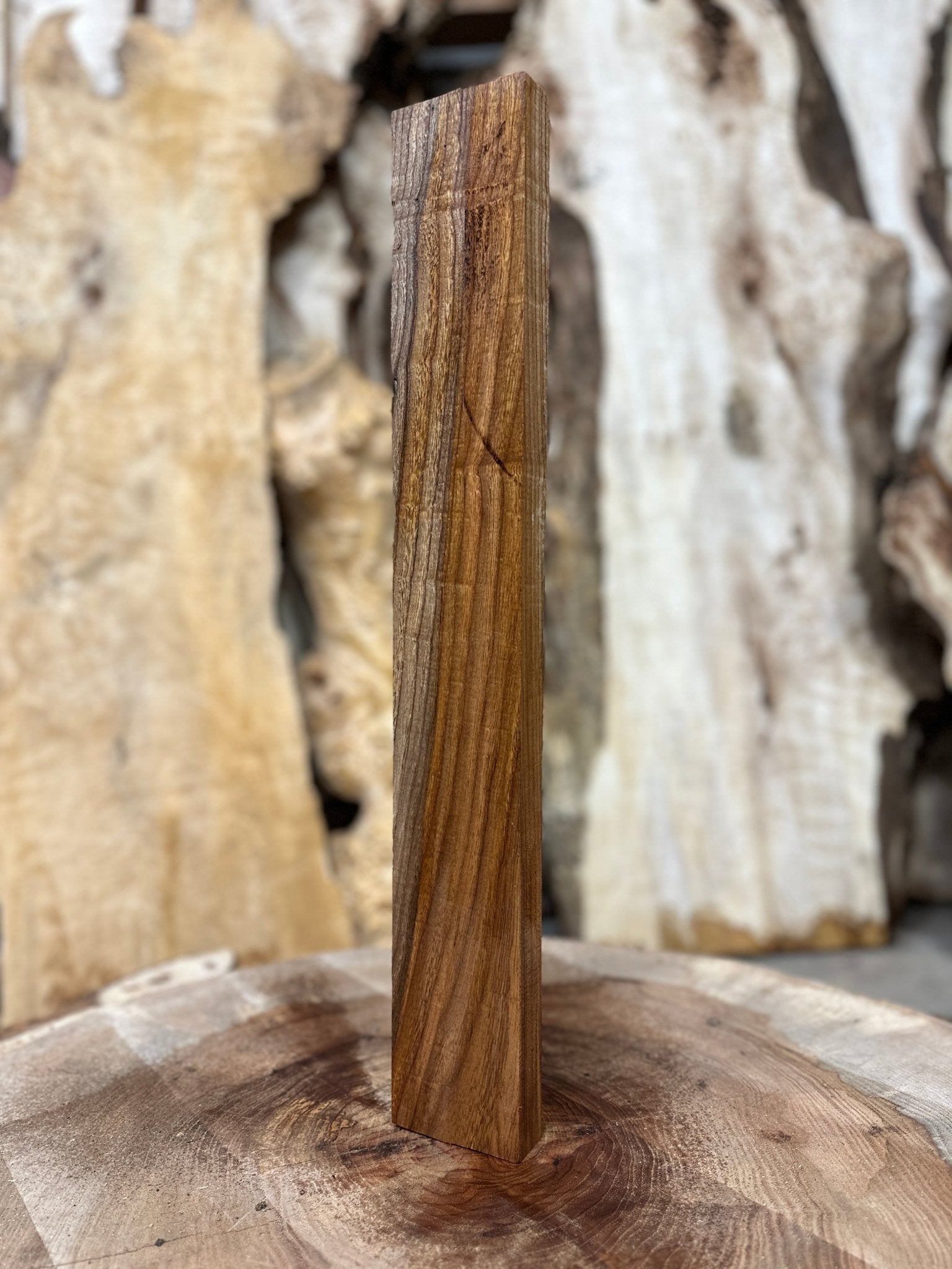 Elm Blank | Elm | Hamilton Lee Supply