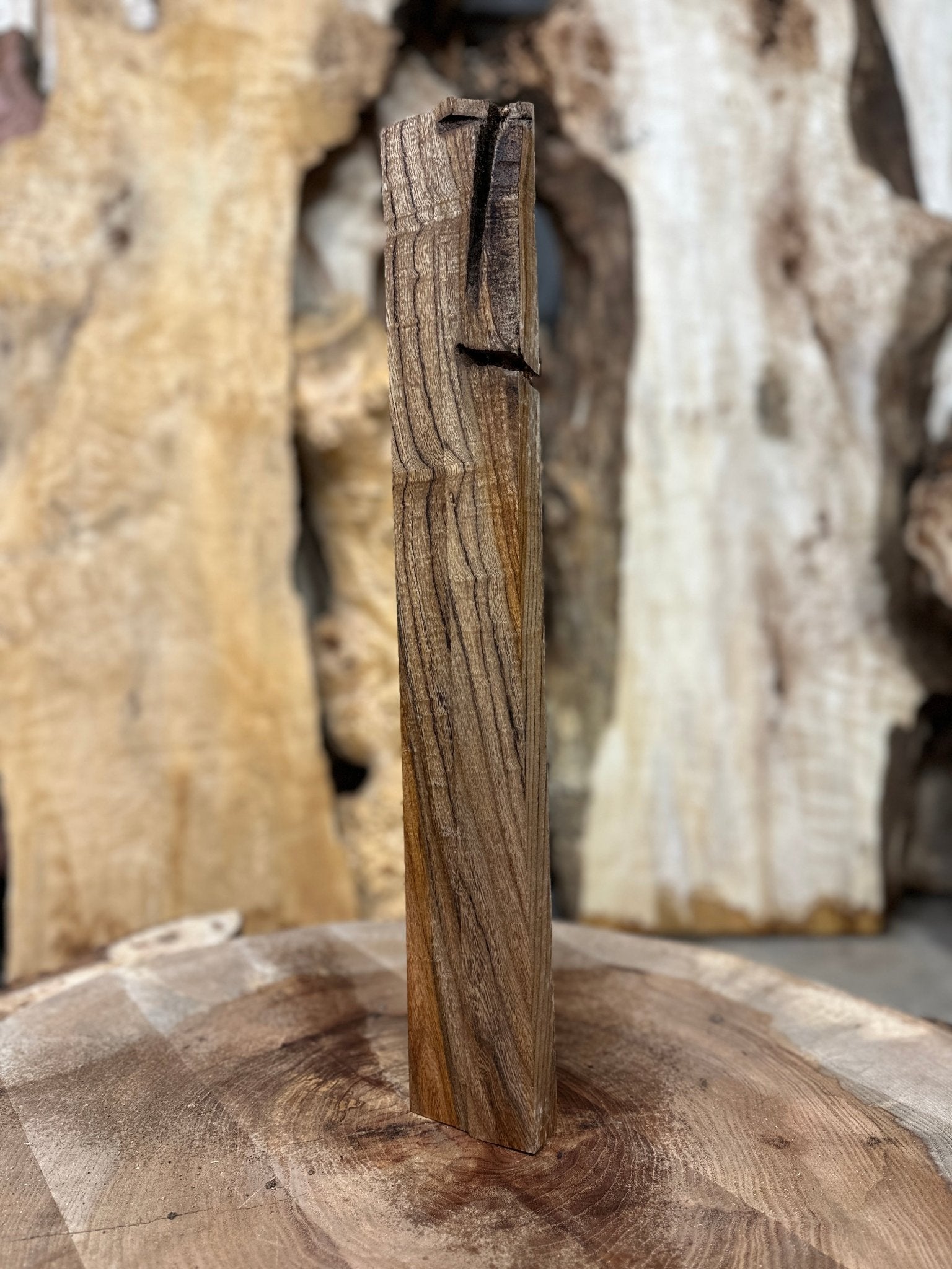 Elm Blank | Elm | Hamilton Lee Supply