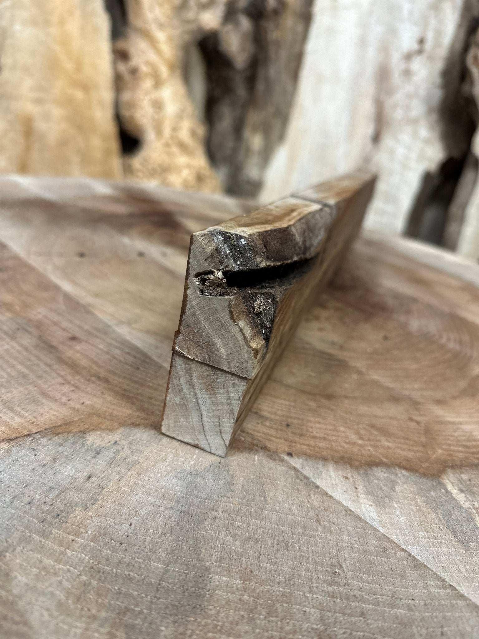 Elm Blank | Elm | Hamilton Lee Supply