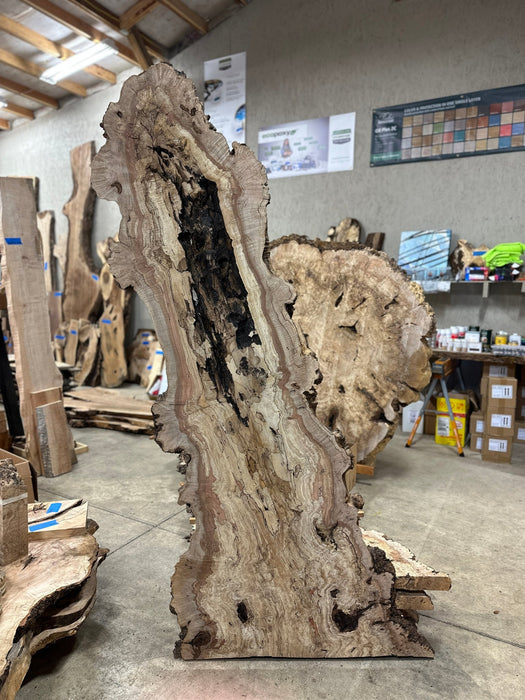 Double Diamond | LiveEdge Big Leaf Maple | Big Leaf Maple | Hamilton Lee Supply