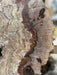 Double Diamond | LiveEdge Big Leaf Maple | Big Leaf Maple | Hamilton Lee Supply