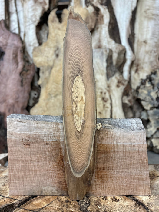 Double Diamond | LiveEdge Black Locust | Black Locust | Hamilton Lee Supply