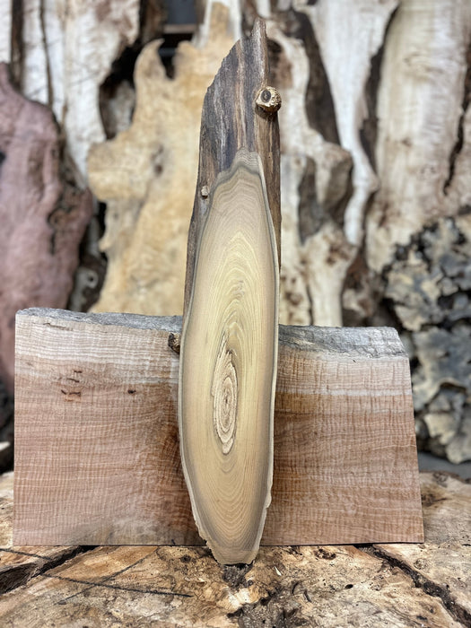 Double Diamond | LiveEdge Black Locust | Black Locust | Hamilton Lee Supply