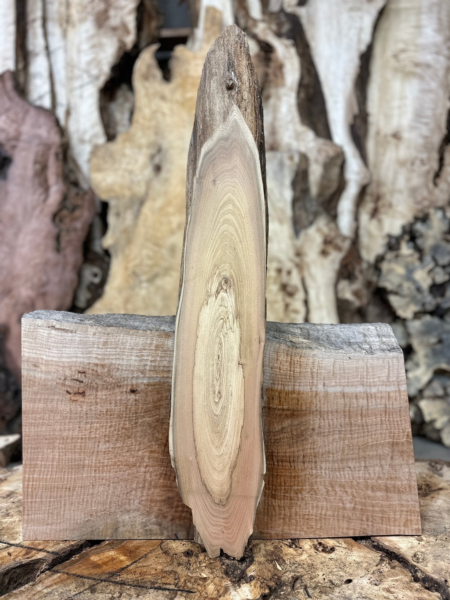 LiveEdge Black Locust | Black Locust | Hamilton Lee Supply