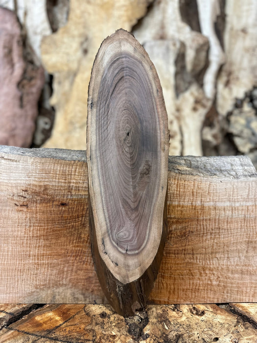 Double Diamond | LiveEdge Black Walnut | Black Walnut | Hamilton Lee Supply