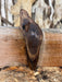 Double Diamond | LiveEdge Black Walnut | Black Walnut | Hamilton Lee Supply