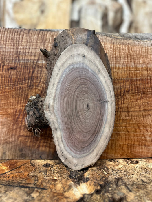 Double Diamond | LiveEdge Black Walnut | Black Walnut | Hamilton Lee Supply