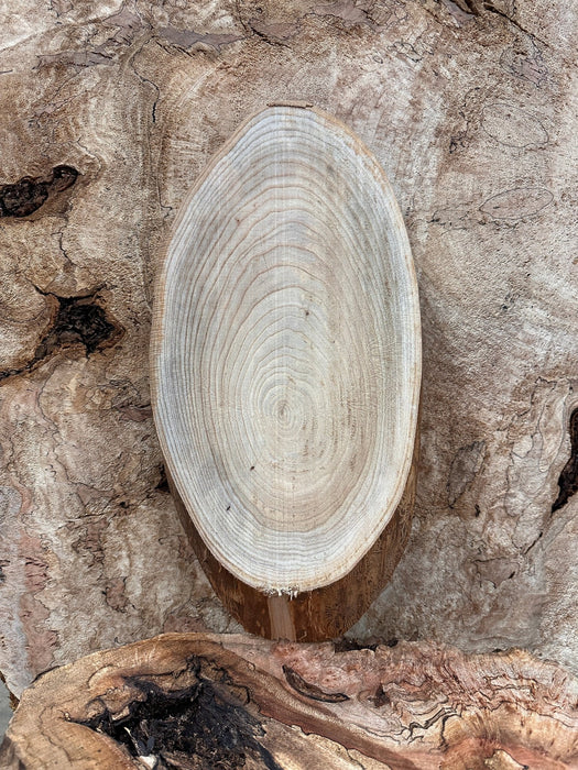 Double Diamond | LiveEdge Elm | Elm | Hamilton Lee Supply