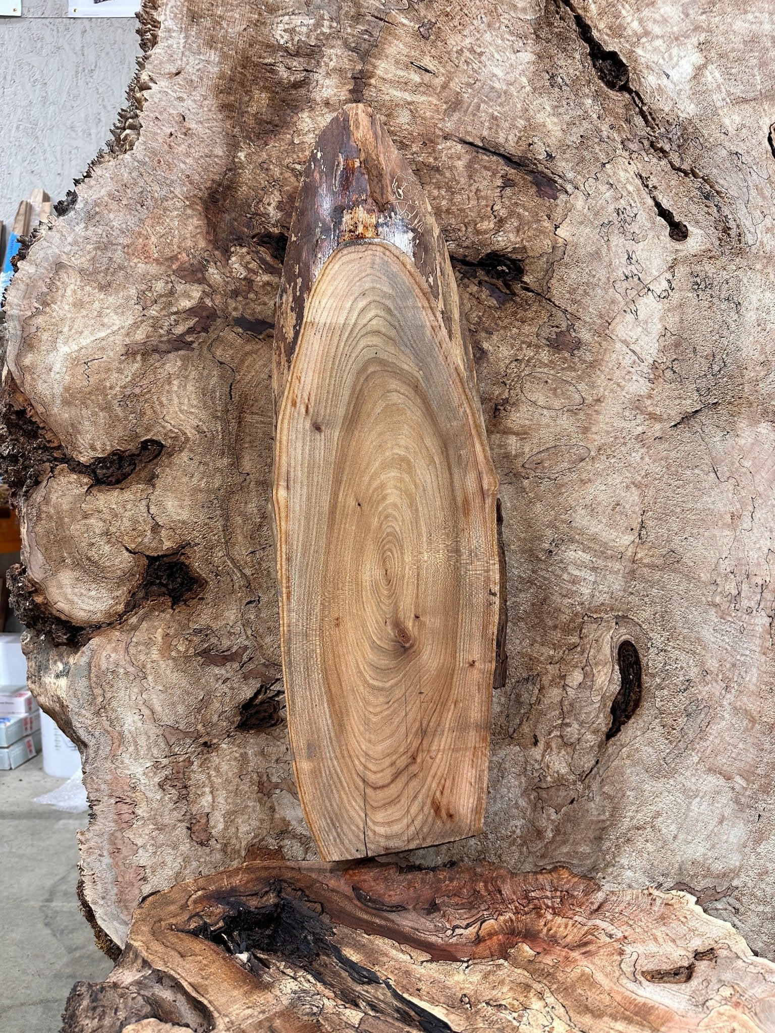 LiveEdge Elm | Elm | Hamilton Lee Supply