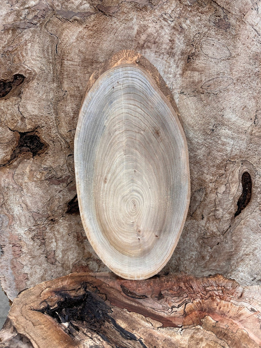 Double Diamond | LiveEdge Elm | Elm | Hamilton Lee Supply