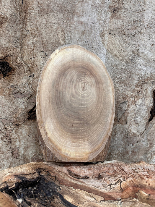 Double Diamond | LiveEdge Elm | Elm | Hamilton Lee Supply