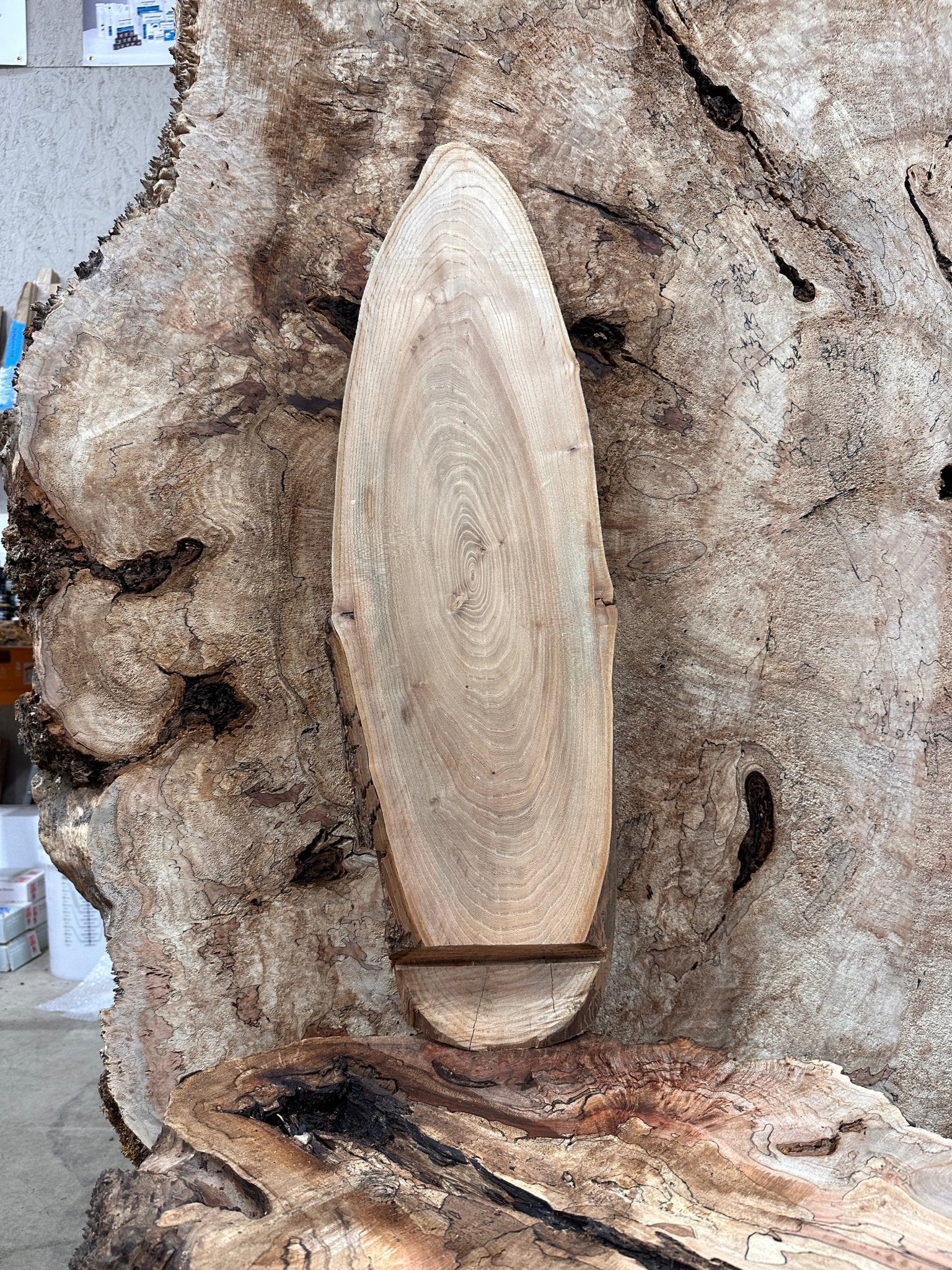 LiveEdge Elm | Elm | Hamilton Lee Supply