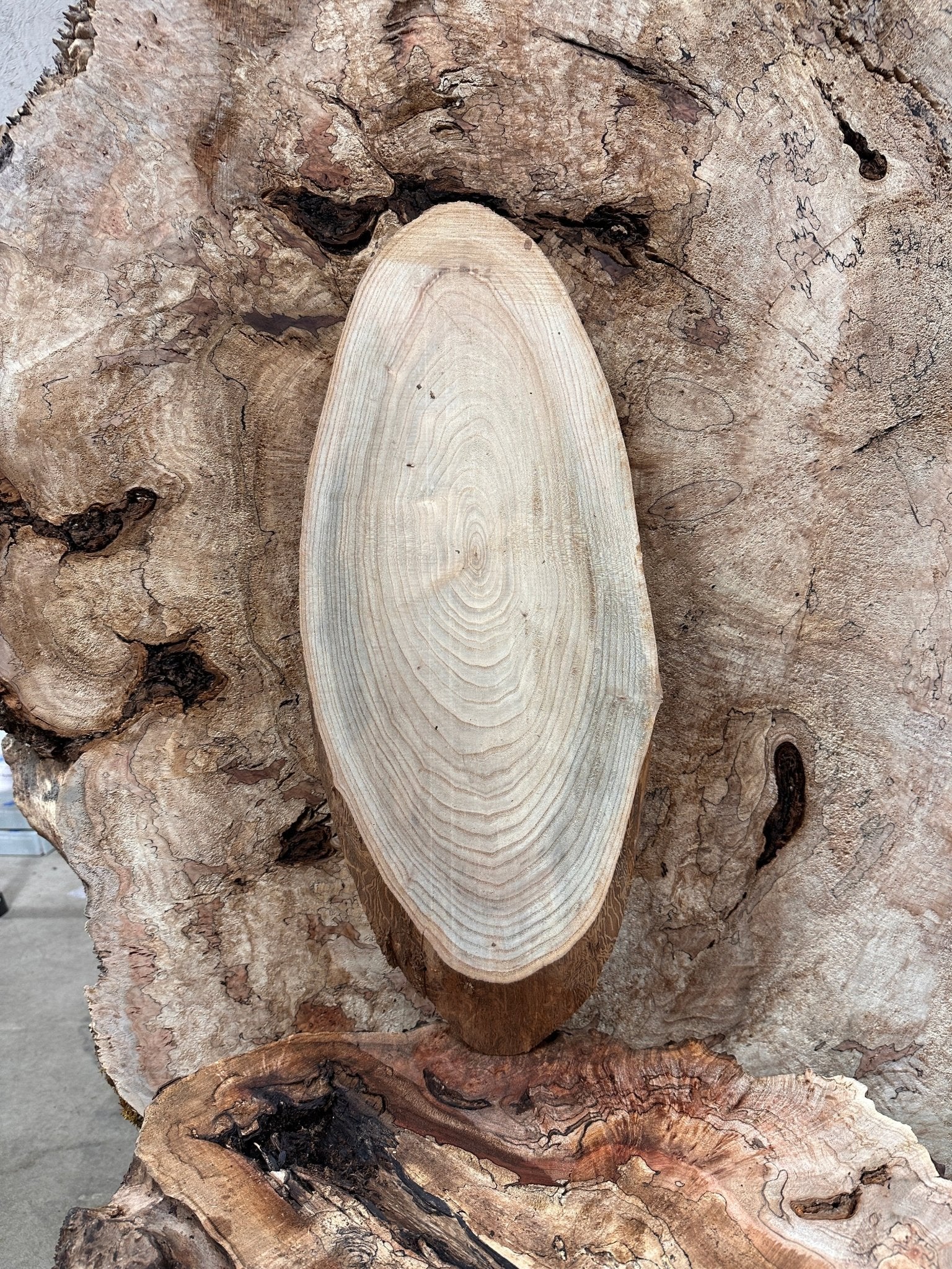 LiveEdge Elm | Elm | Hamilton Lee Supply