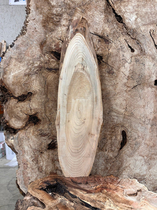 Double Diamond | LiveEdge Elm | Elm | Hamilton Lee Supply