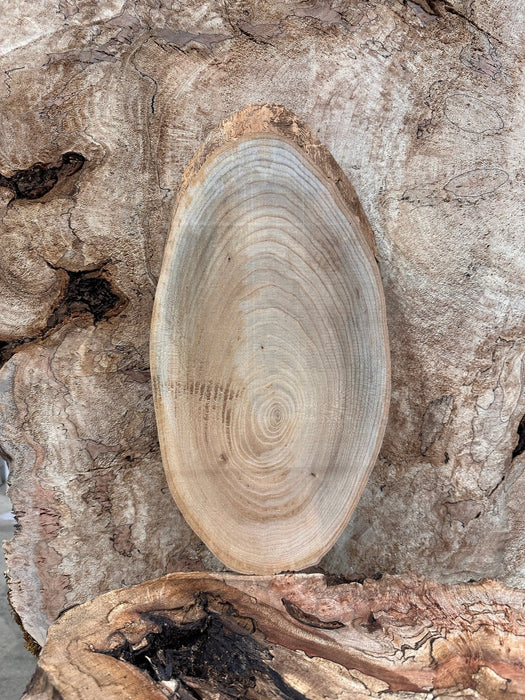 Double Diamond | LiveEdge Elm | Elm | Hamilton Lee Supply