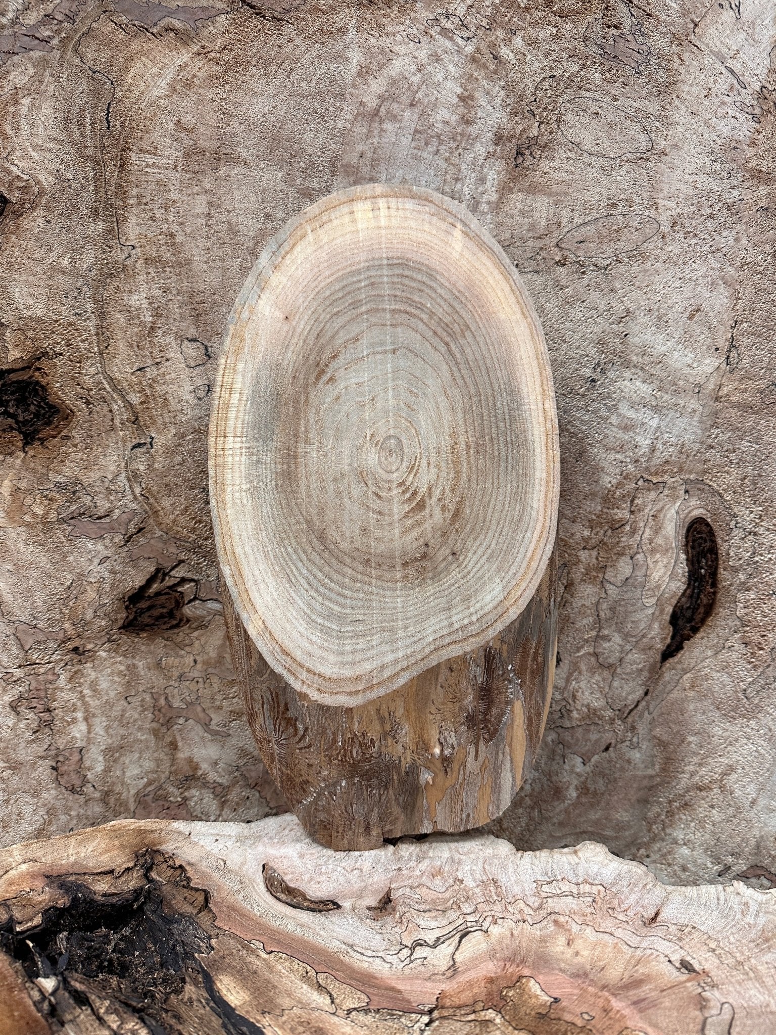 LiveEdge Elm | Elm | Hamilton Lee Supply
