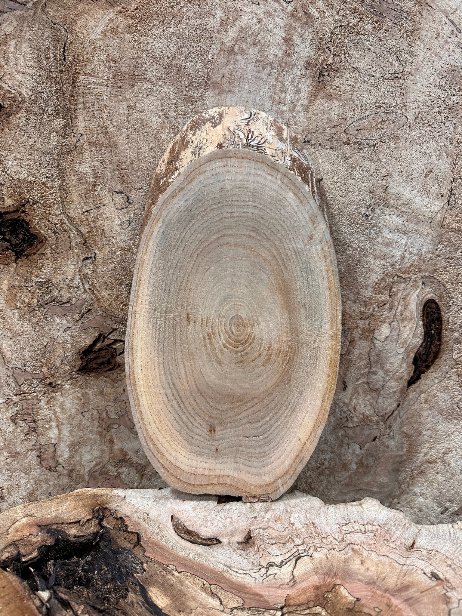 LiveEdge Elm | Elm | Hamilton Lee Supply
