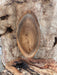 Double Diamond | LiveEdge Elm | Elm | Hamilton Lee Supply