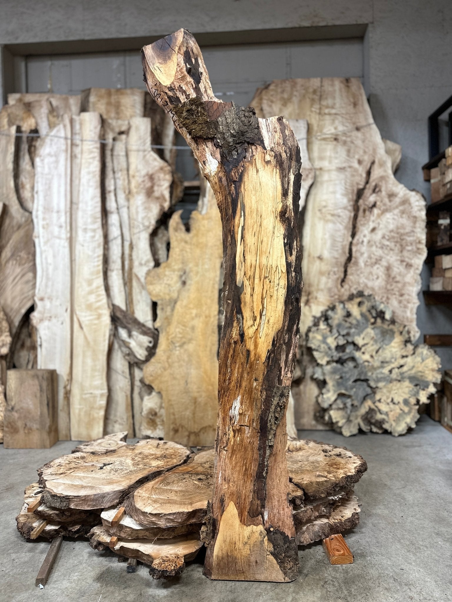 LiveEdge English Walnut | English Walnut | Hamilton Lee Supply