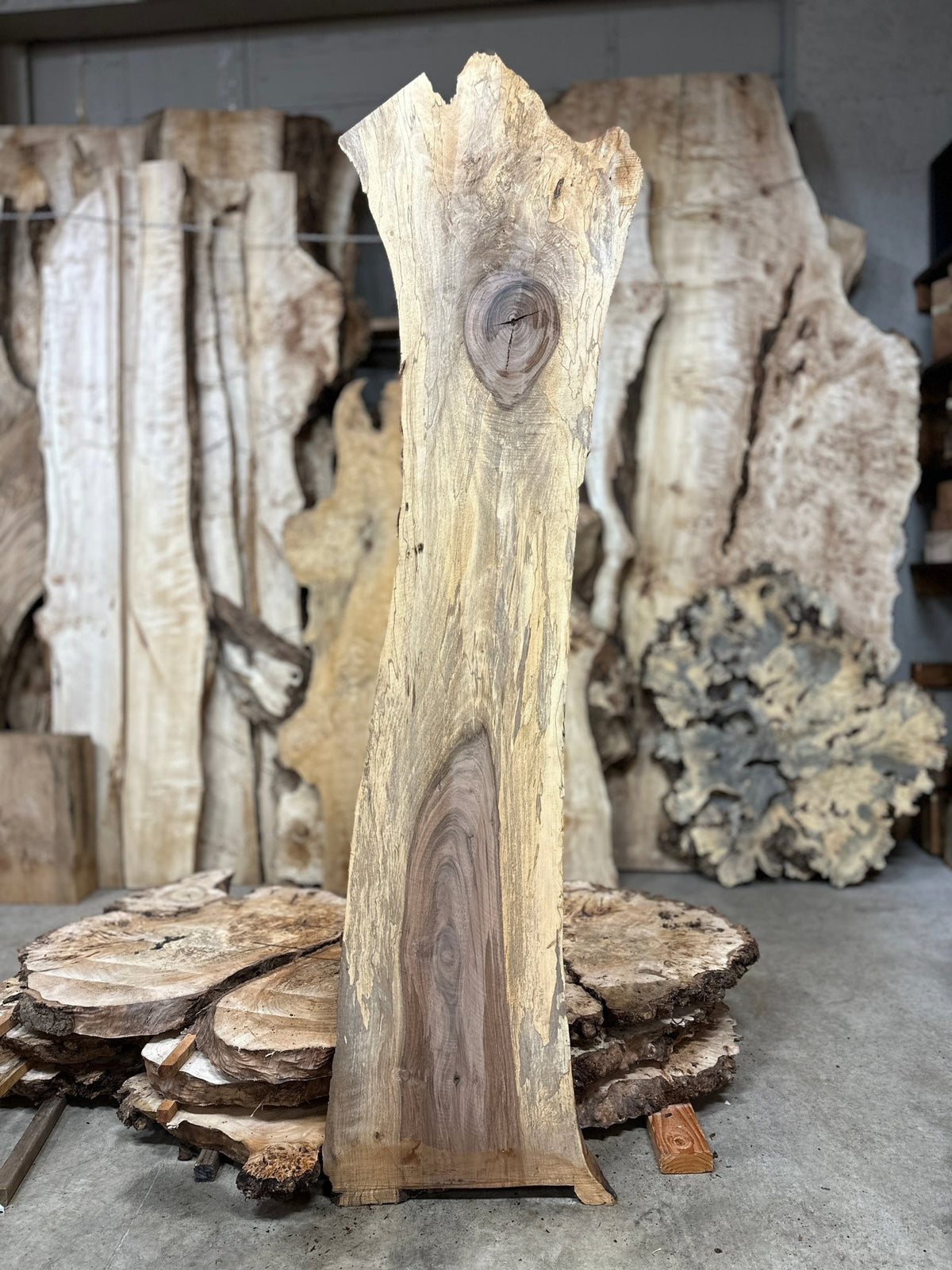 Double Diamond | LiveEdge English Walnut | English Walnut | BGDDEW531 ...