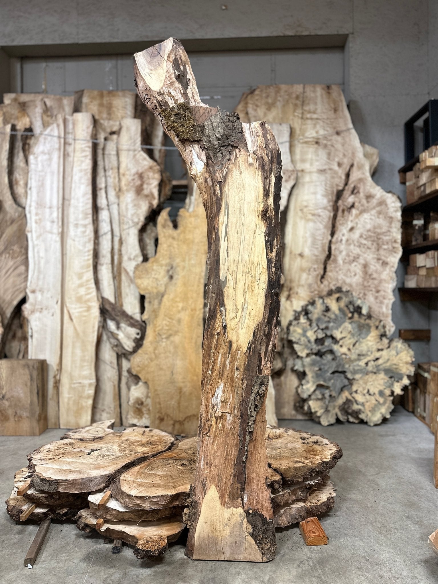 LiveEdge English Walnut | English Walnut | Hamilton Lee Supply