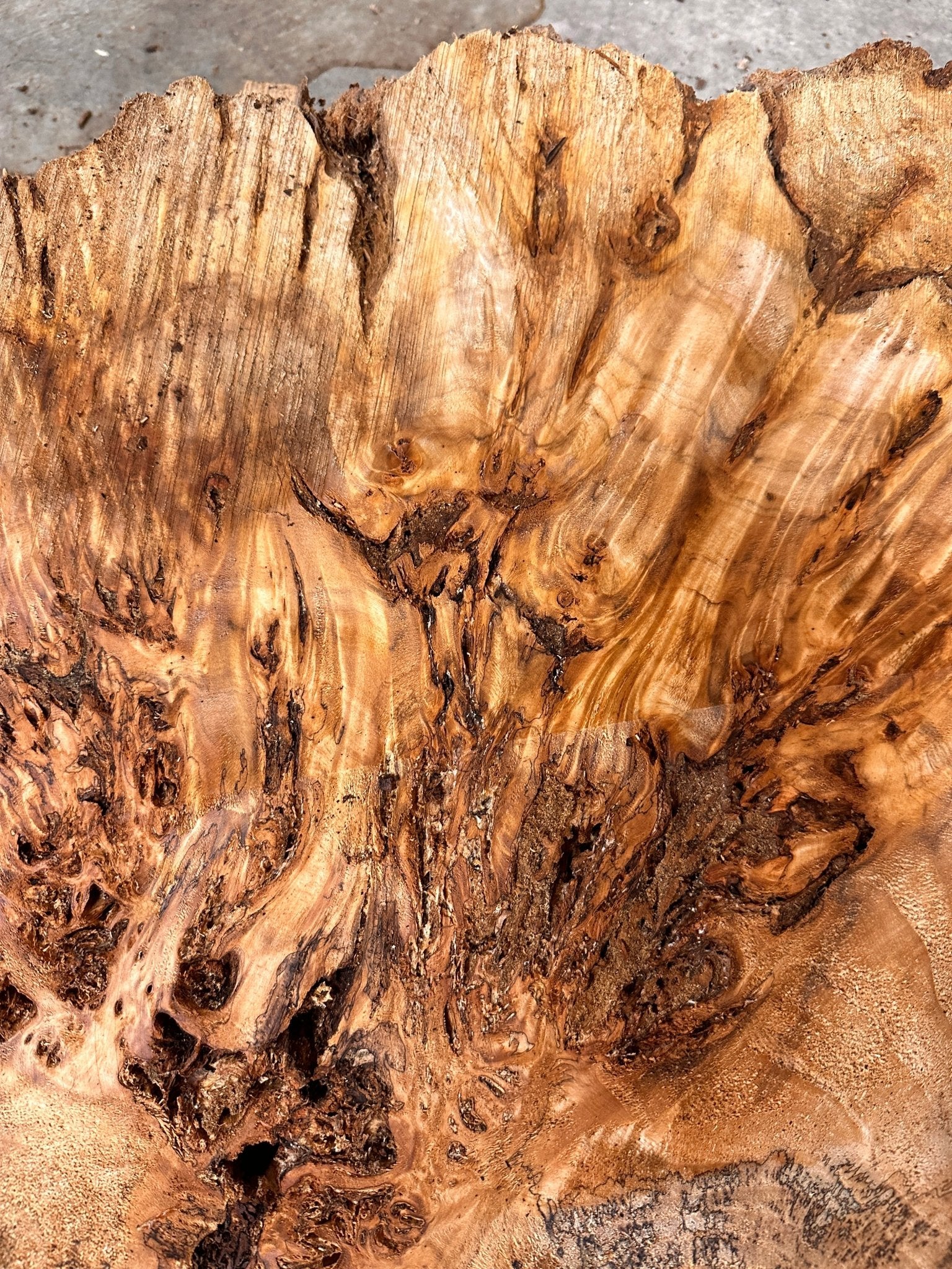 LiveEdge Mappa Burl Cookie | Mappa Burl | Hamilton Lee Supply
