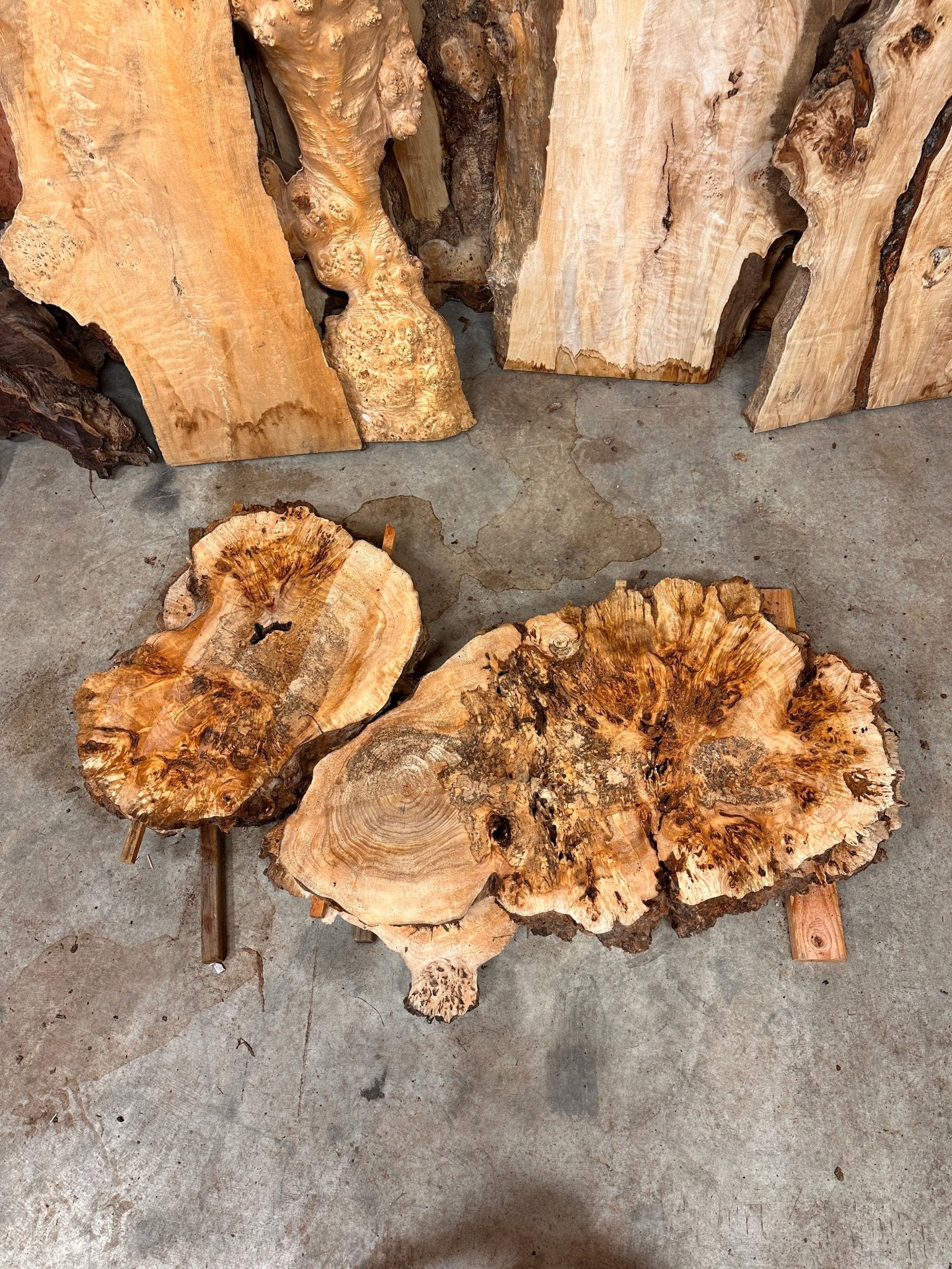 LiveEdge Mappa Burl Cookie | Mappa Burl | Hamilton Lee Supply