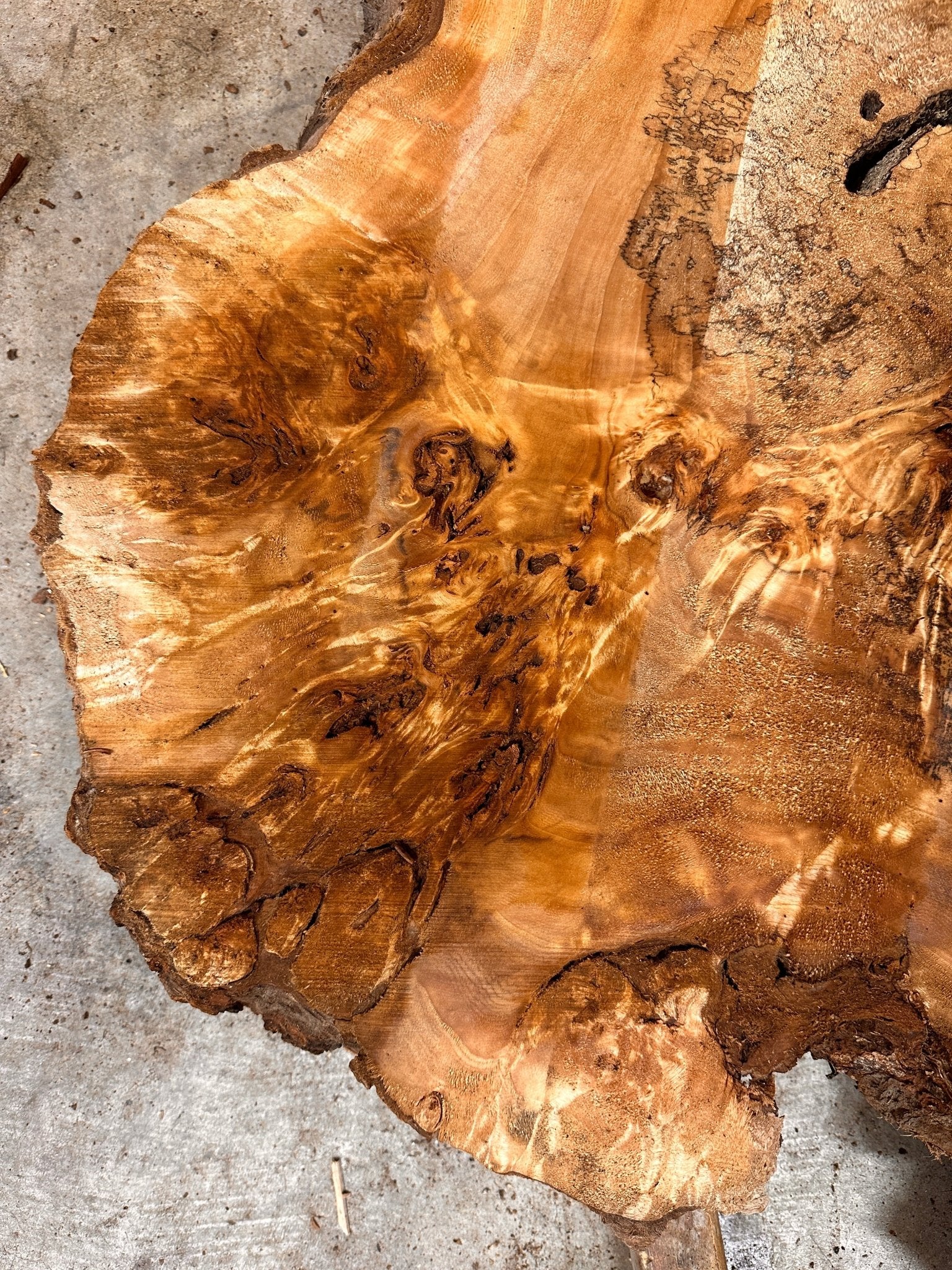 LiveEdge Mappa Burl Cookie | Mappa Burl | Hamilton Lee Supply