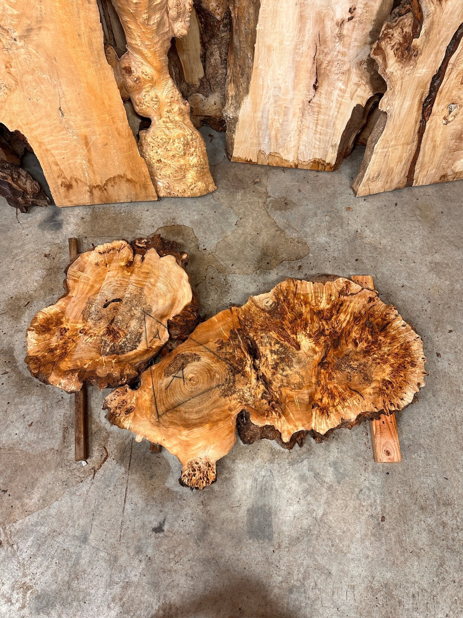 LiveEdge Mappa Burl Cookie | Mappa Burl | Hamilton Lee Supply