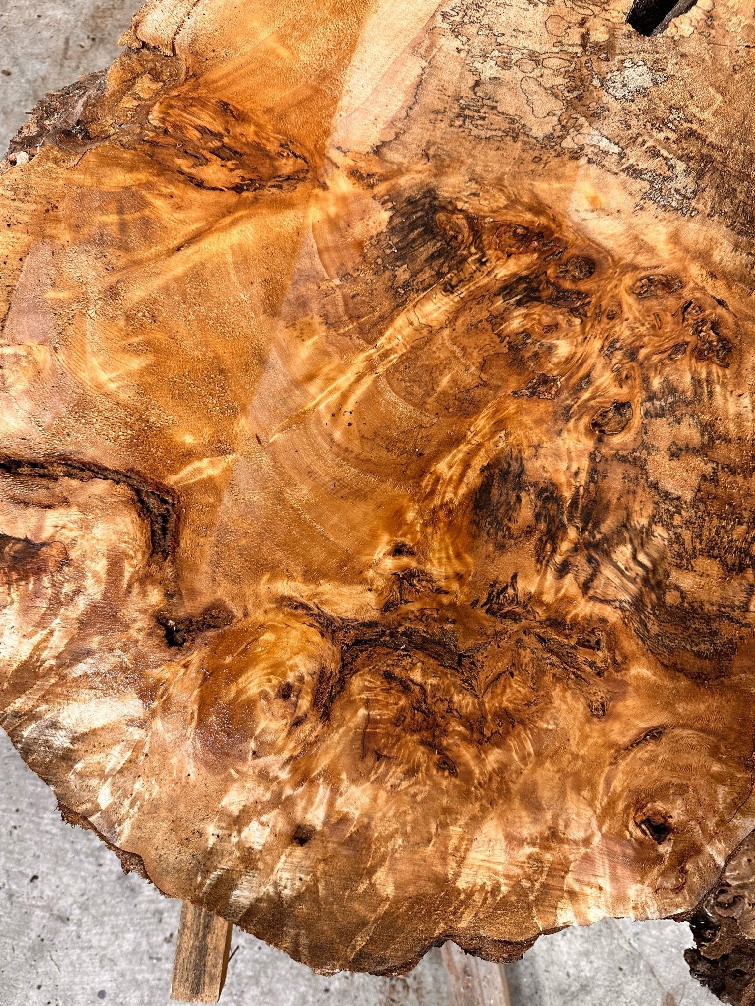LiveEdge Mappa Burl Cookie | Mappa Burl | Hamilton Lee Supply
