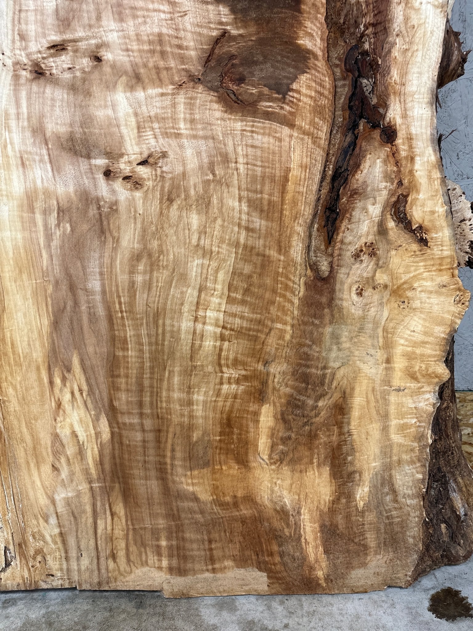 LiveEdge Mappa Burl | Mappa Burl | Hamilton Lee Supply