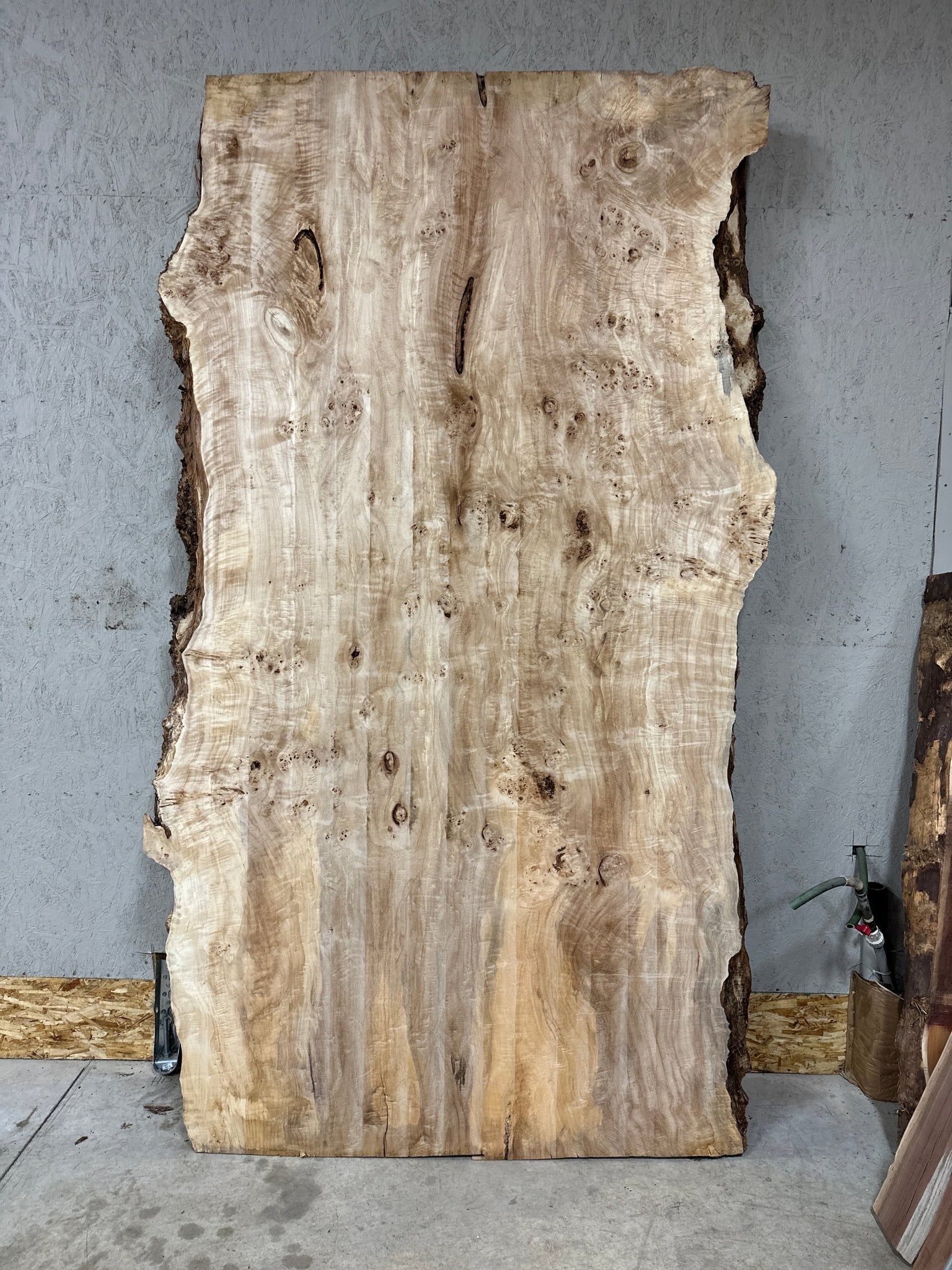 Burl Wood Two Color Live outlet Edge Blank