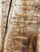 Double Diamond | LiveEdge Mappa Burl | Mappa Burl | Hamilton Lee Supply