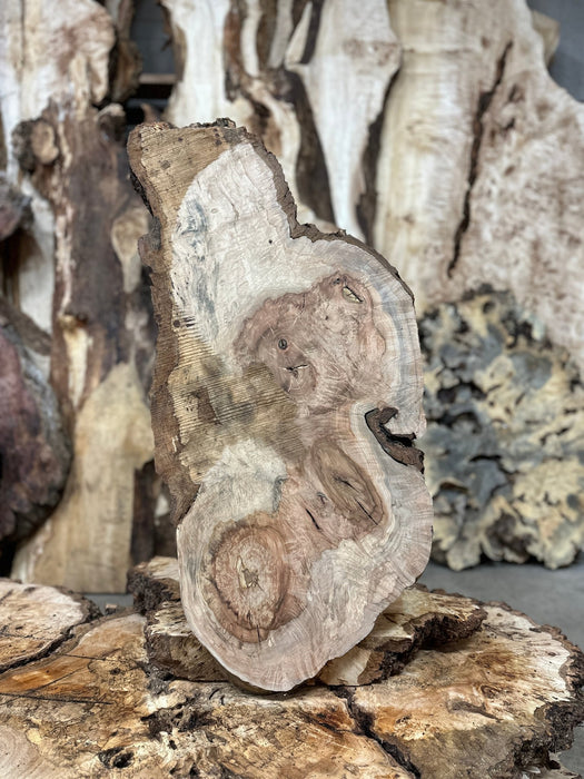 Double Diamond | LiveEdge Silver Maple | Silver Maple | Hamilton Lee Supply